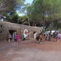 Photo de France - La randonnée de la Tamarissière